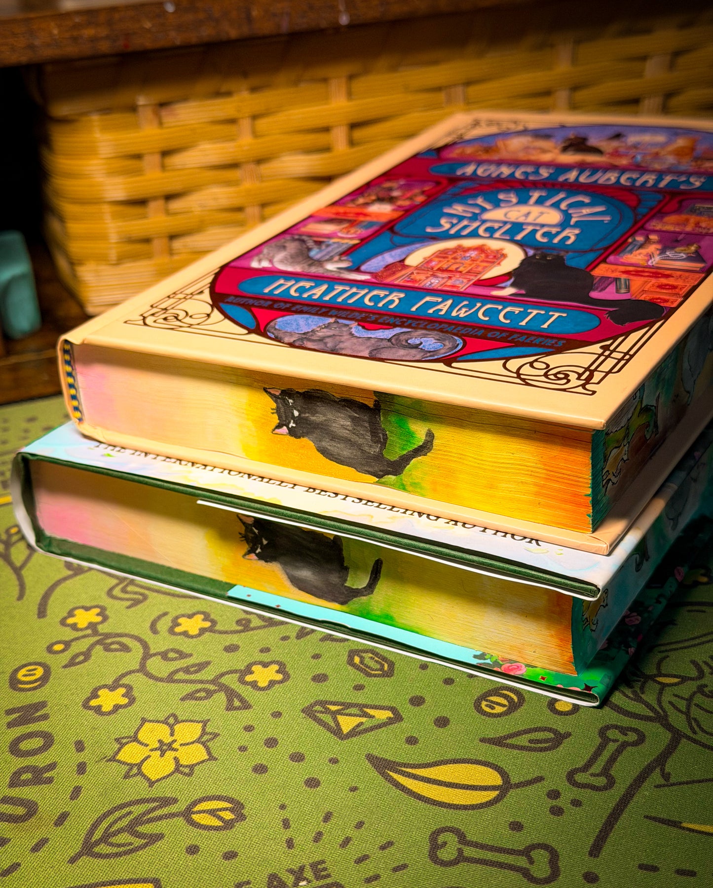 Hand-Painted Agnes Aubert’s Mystical Cat Shelter: hardcover BOOK EDGES