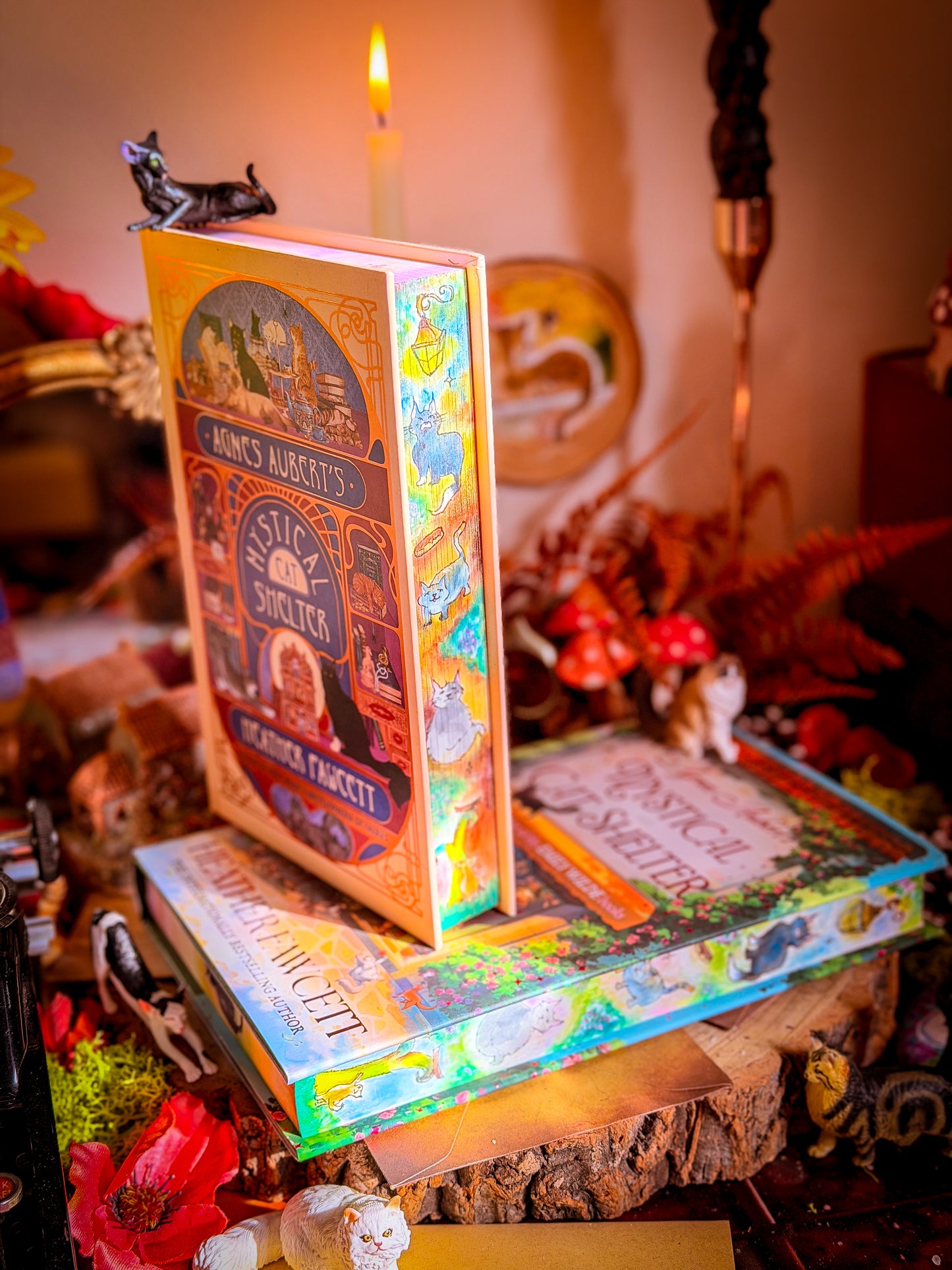 Hand-Painted Agnes Aubert’s Mystical Cat Shelter: hardcover BOOK EDGES