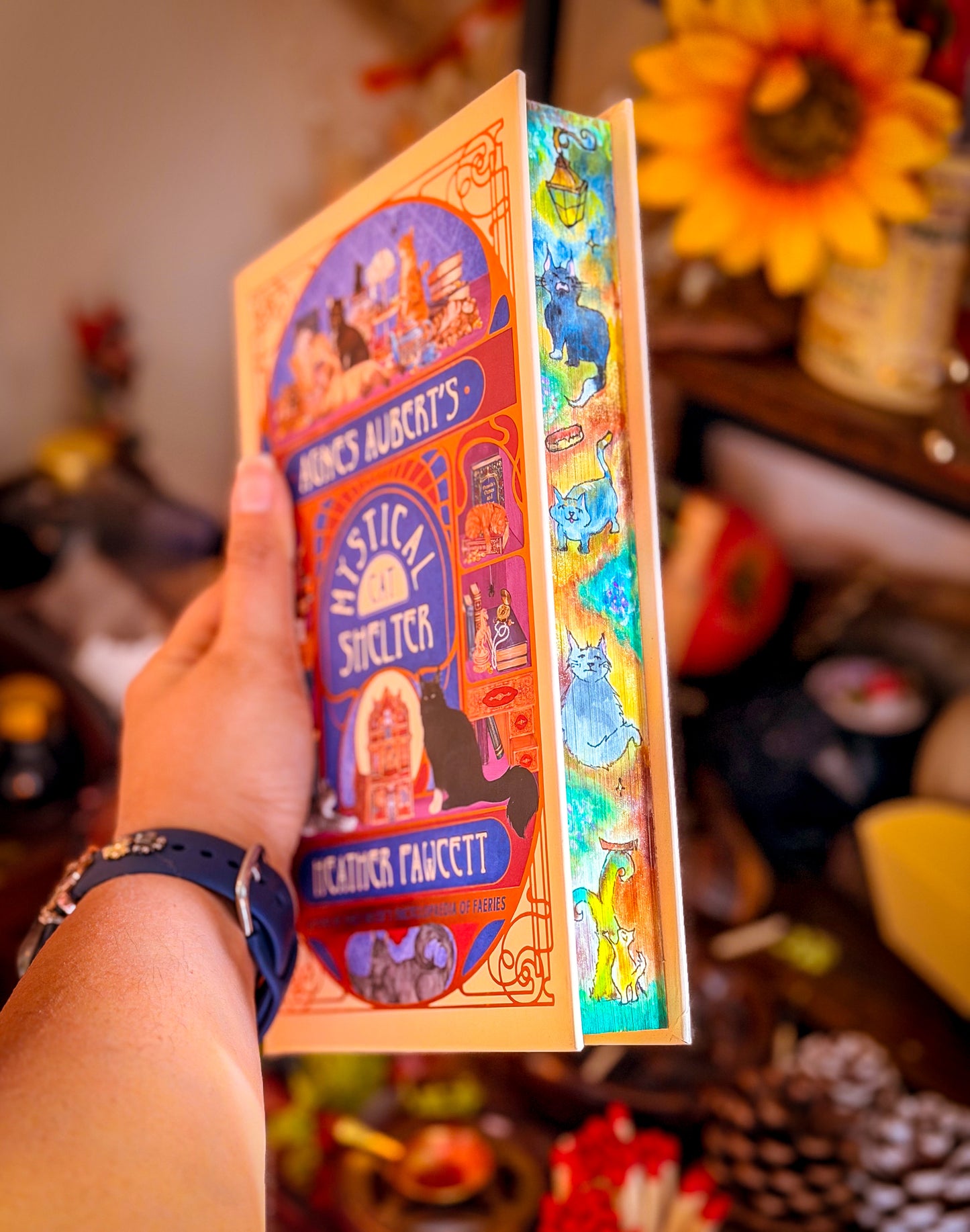 Hand-Painted Agnes Aubert’s Mystical Cat Shelter: hardcover BOOK EDGES