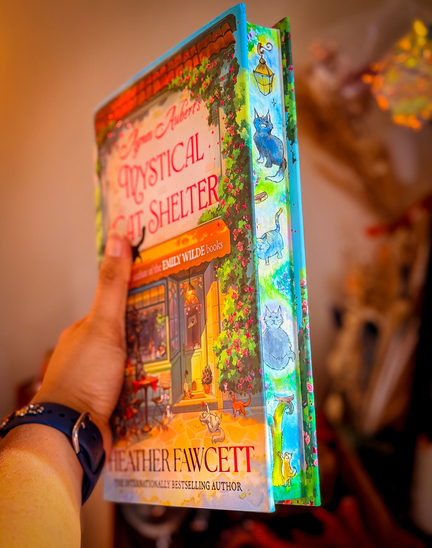 Hand-Painted Agnes Aubert’s Mystical Cat Shelter: hardcover BOOK EDGES