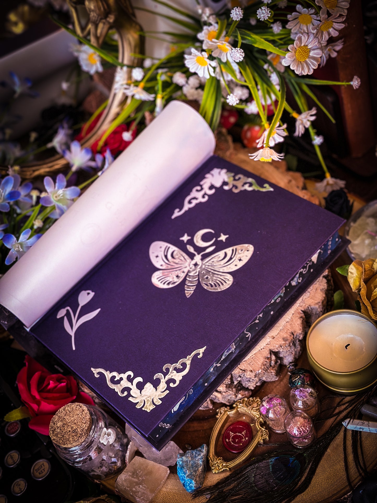 The Knight and the Moth HANDPAINTED BOOK EDGES (vinyl sticker foil undercover)- Rachel Gillig Books - Special Edition Book