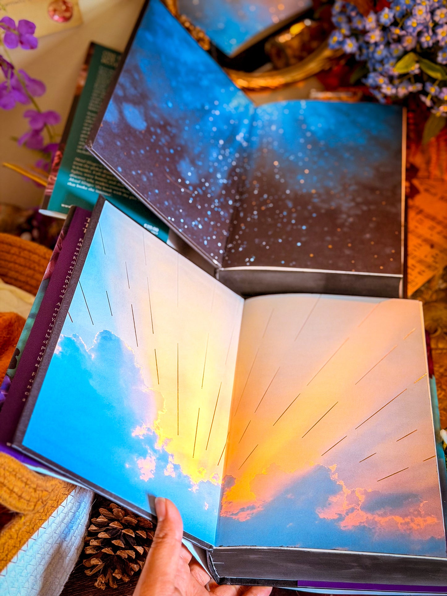 Metal Slinger & Light Wielder by Rachel Schneider HANDPAINTED BOOK EDGES