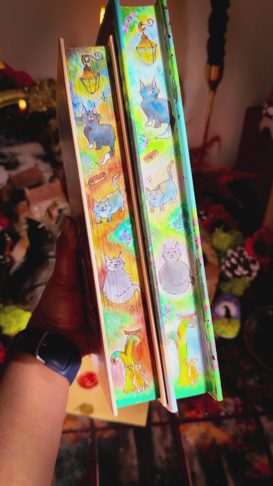 Hand-Painted Agnes Aubert’s Mystical Cat Shelter: hardcover BOOK EDGES